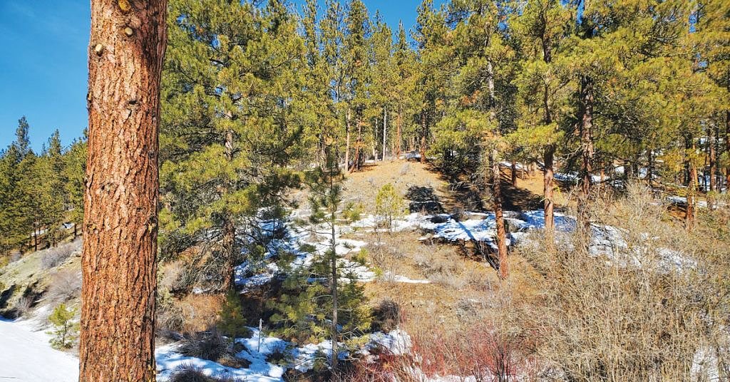 Lack of snowpack causing anxiety east of Cascades