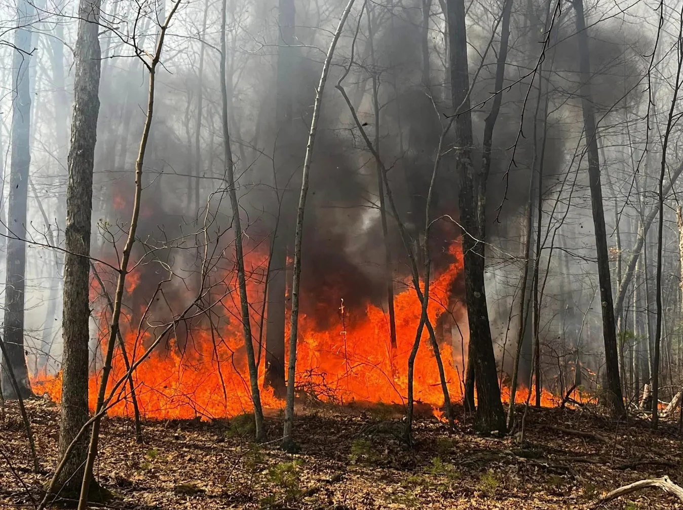 Seven-acre Weare brush fire contained, crews to battle two more days