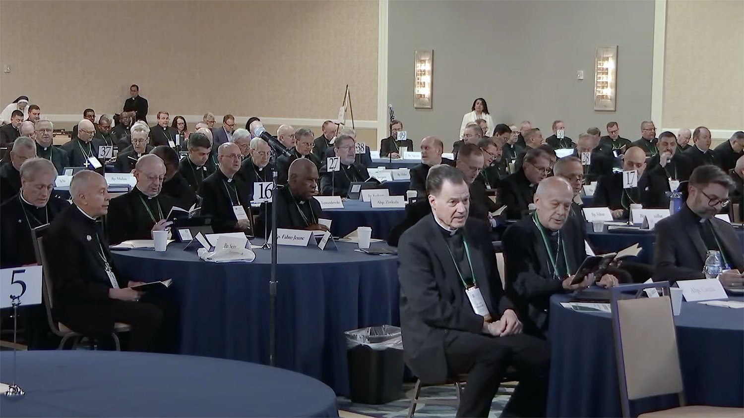 Catholic bishops approve revised abuse guidelines despite calls for broader reform
