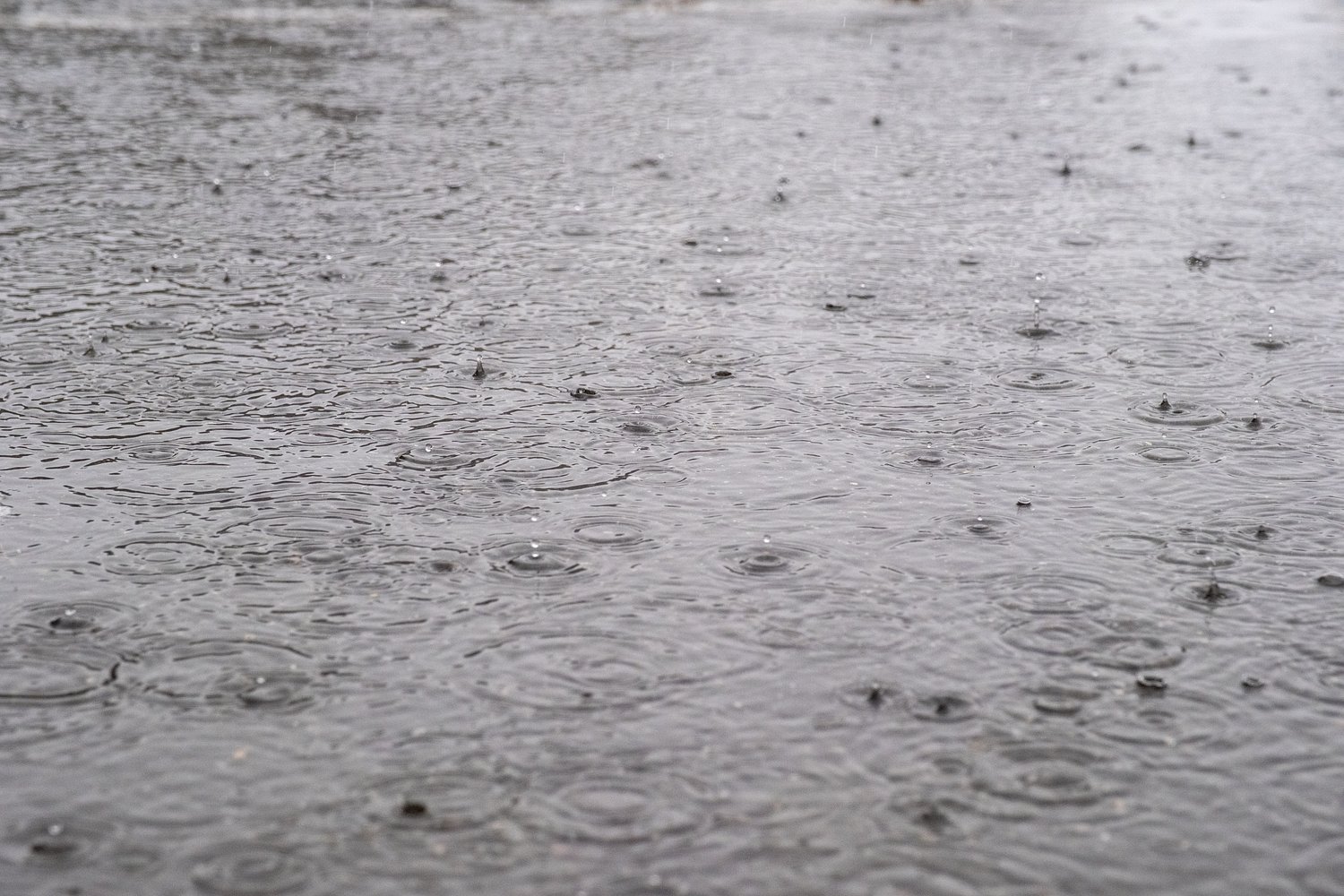 Showers and isolated thunderstorms expected Sunday across parts of Mass.