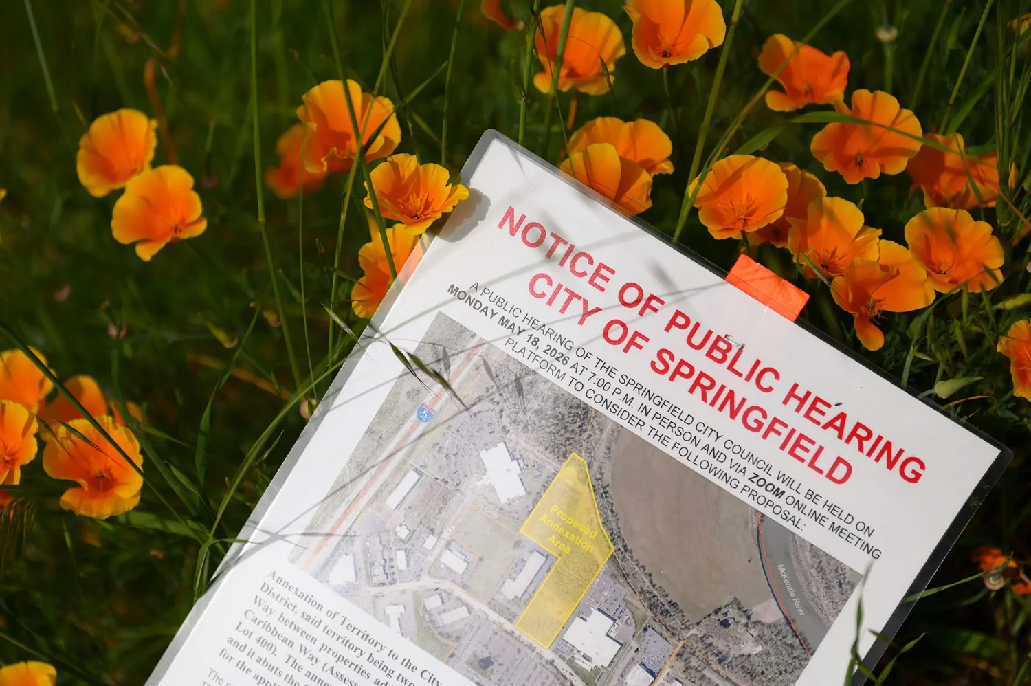 As Springfield weighs annexation request, regional behavioral health needs hang in the balance 