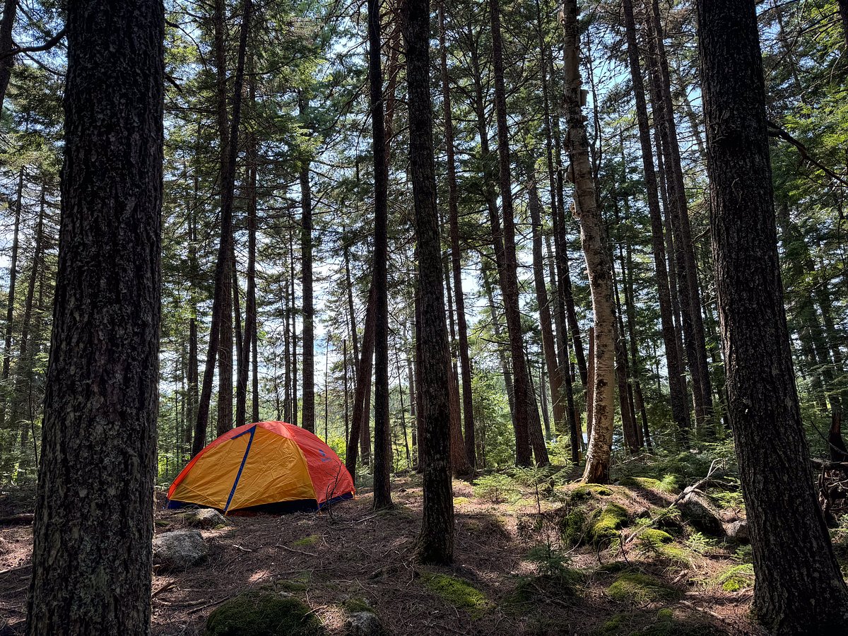 You say you’ll go camping in Maine this summer. Here’s why you won’t.  