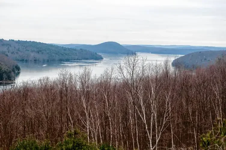 North Quabbin Notebook: April 8, 2026