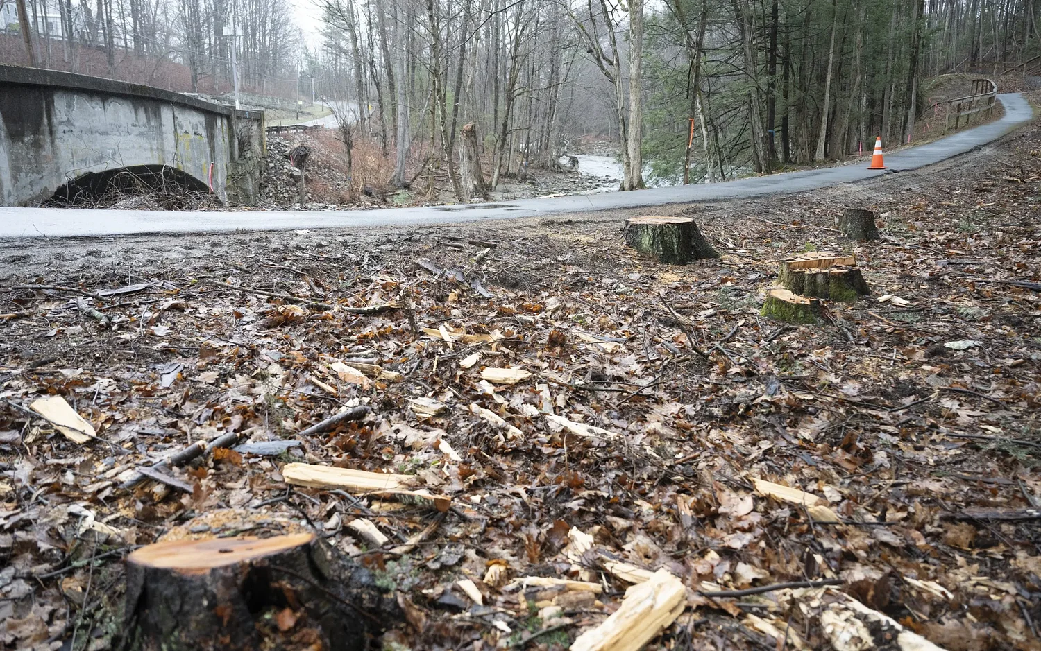 Clearing the path: Tree removal signals the start of long-awaited Mill River Greenway