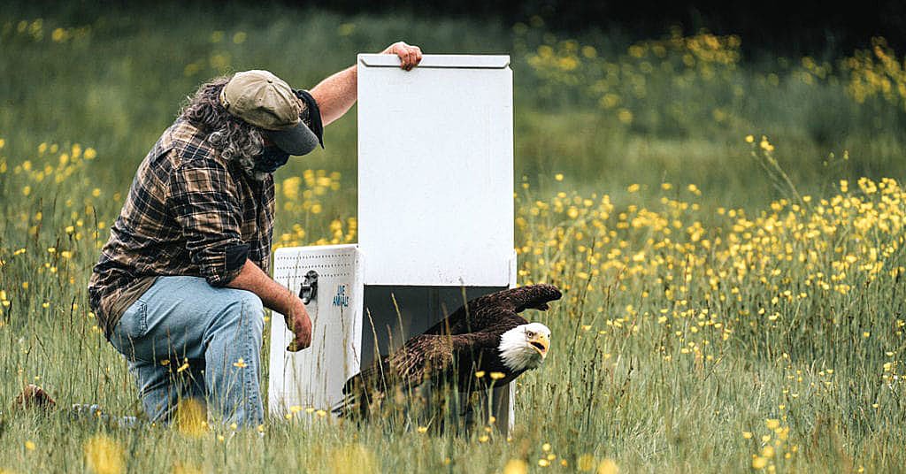 Is it time for ODFW to ‘reform’? Can it?