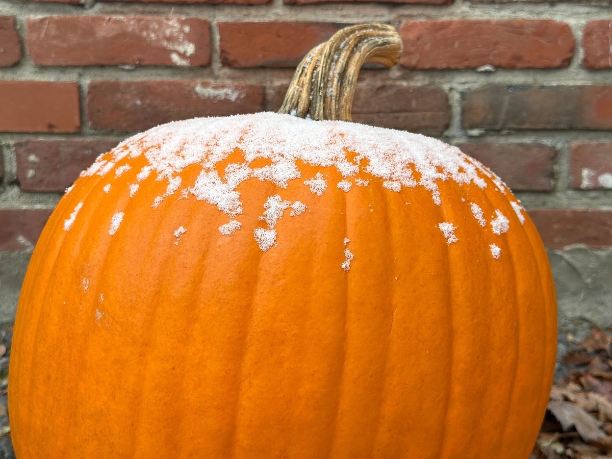 How much snow has fallen across Maine Tuesday