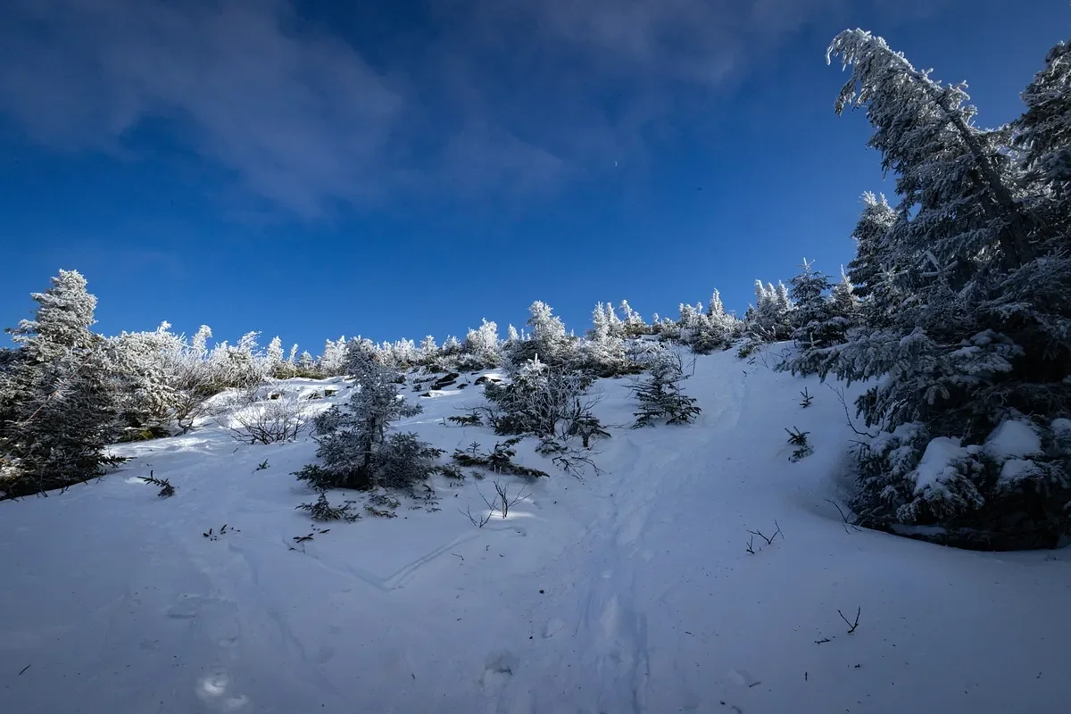 Quick-moving storm to drop 1–4 inches across northern Maine