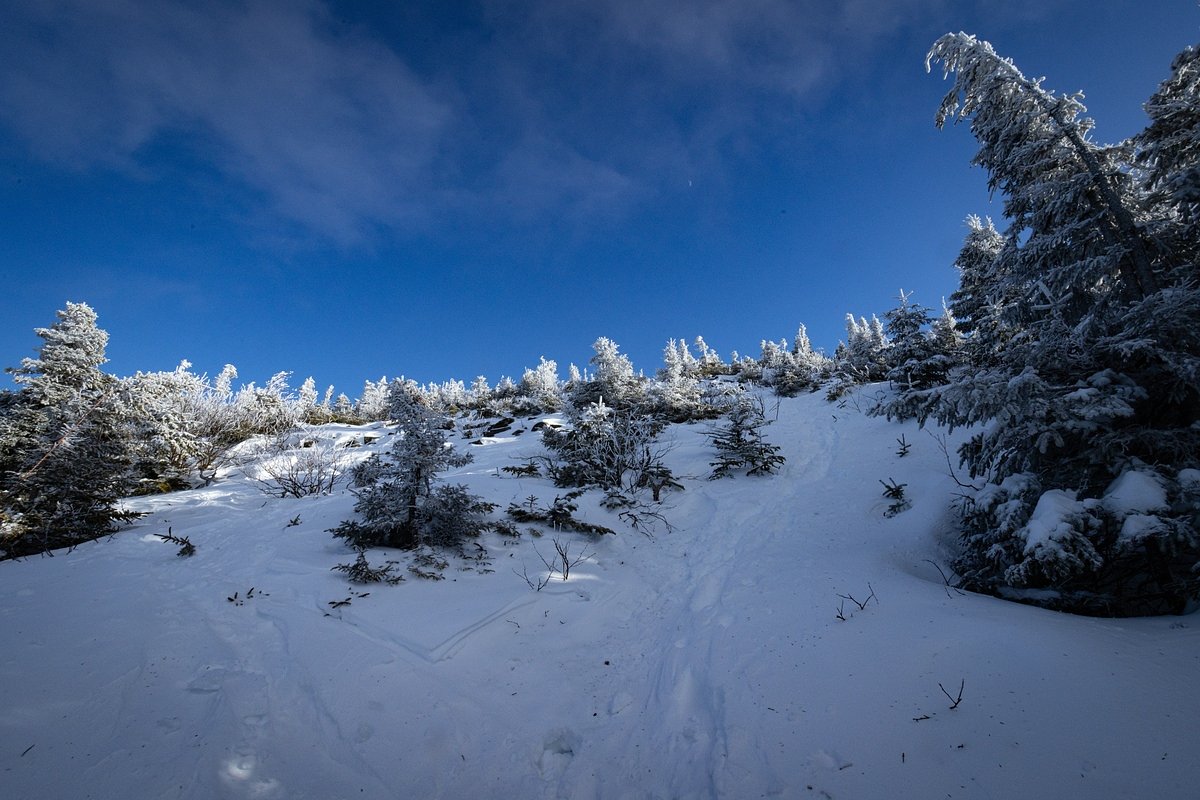 Quick-moving storm to drop 1–4 inches across northern Maine