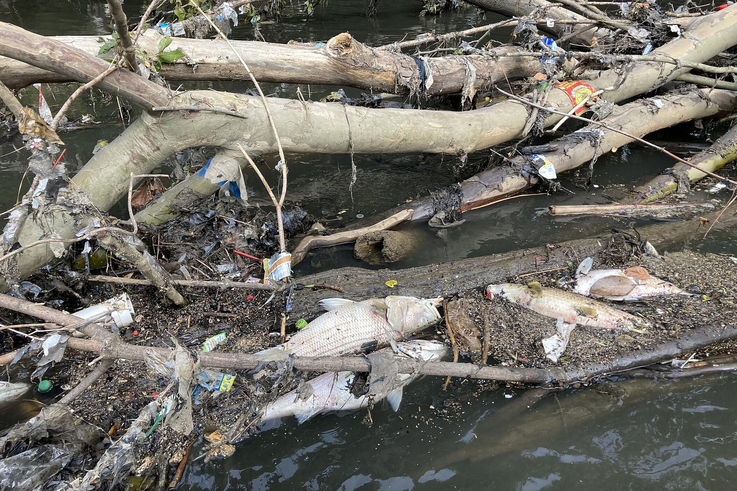 Above the Waterline: Atlanta's dirty rain problem
