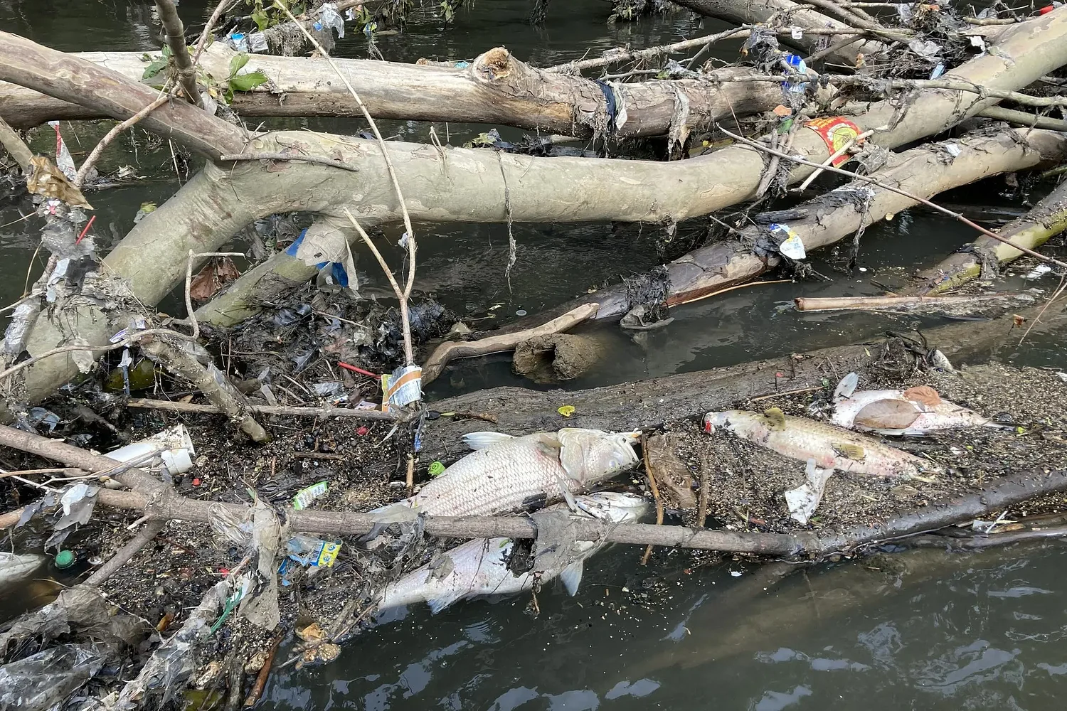 Above the Waterline: Atlanta's dirty rain problem
