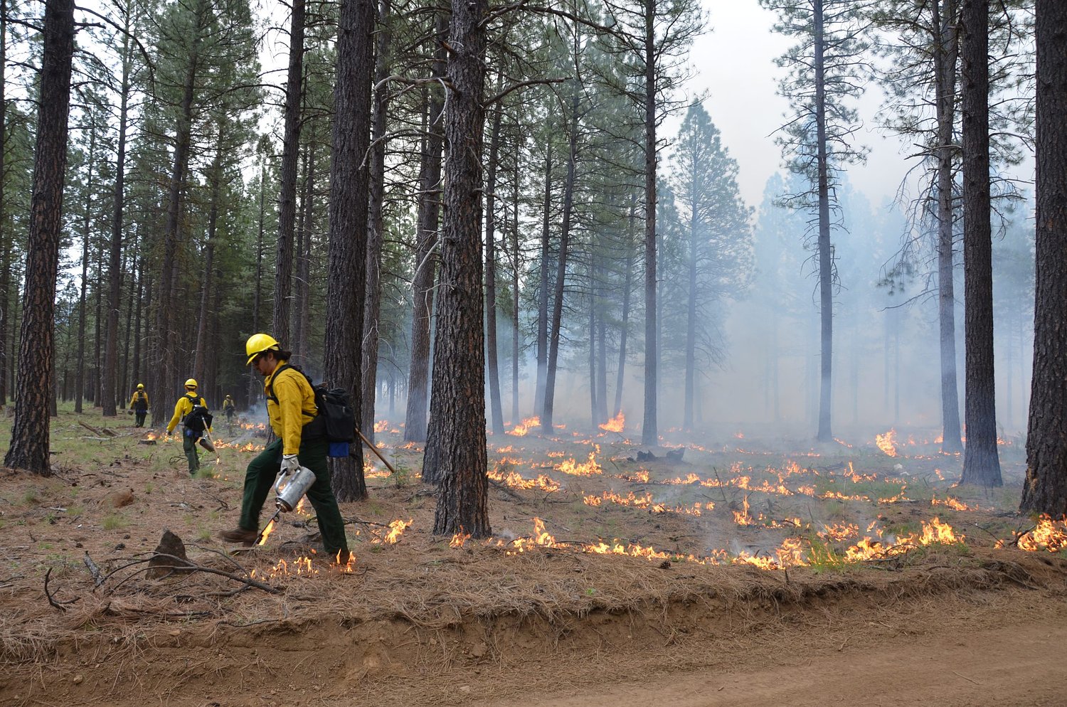 Fighting ‘fire with fire’ grows in Eugene, Springfield