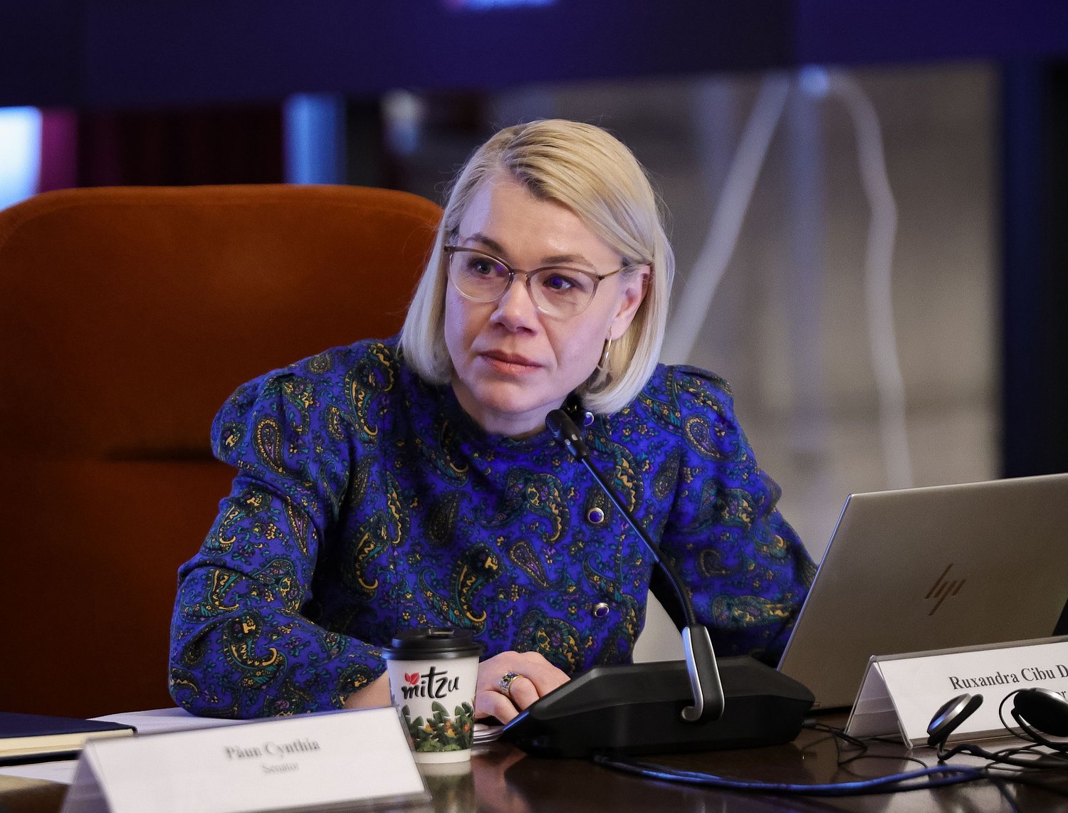 Dezbatere la Sibiu pentru un Centru Respiro. Ruxandra Cibu Deaconu: ”E nevoie aproape ca de aer”