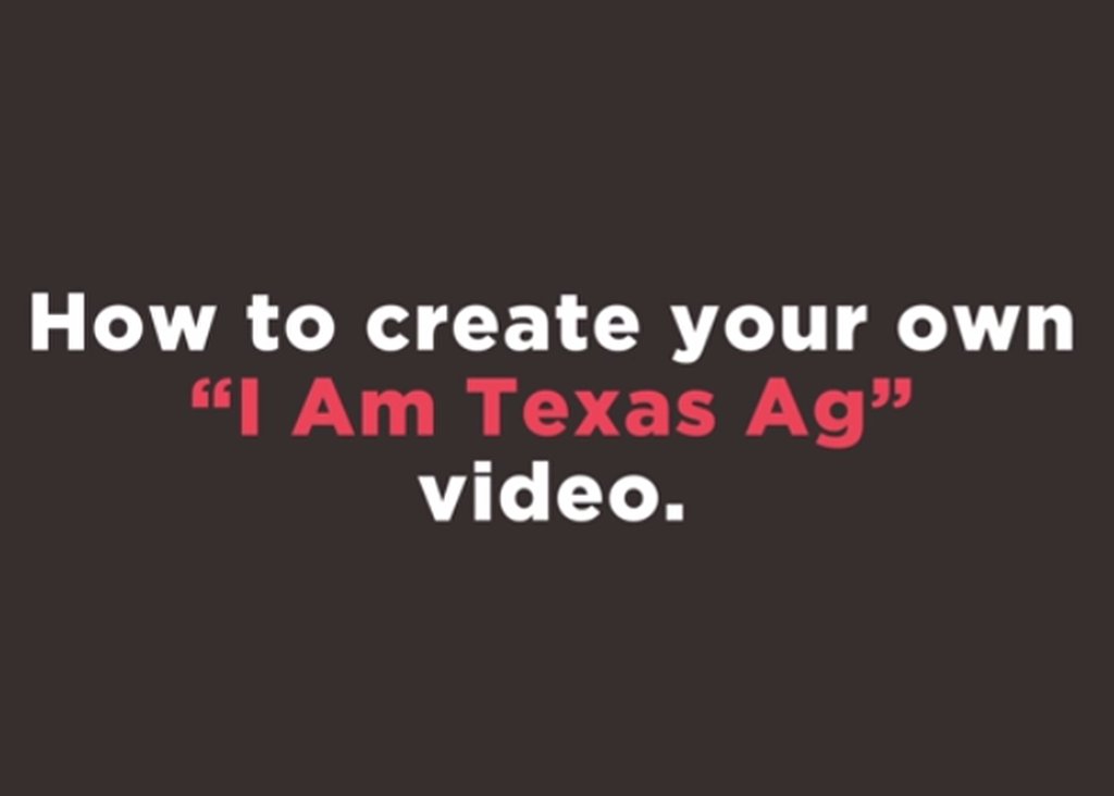 Longtime GOP state Rep. John Smithee of Amarillo will not seek reelection