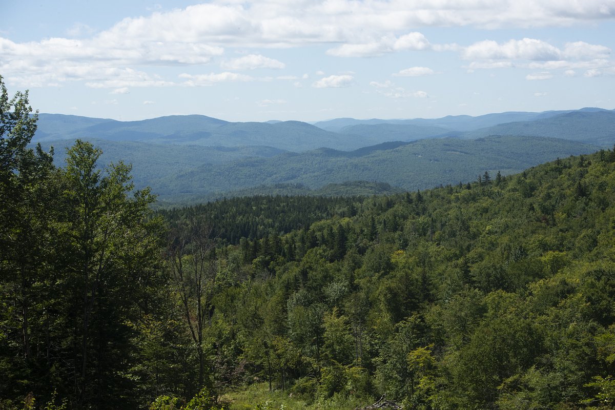 Here’s where property taxes are hitting Mainers the hardest