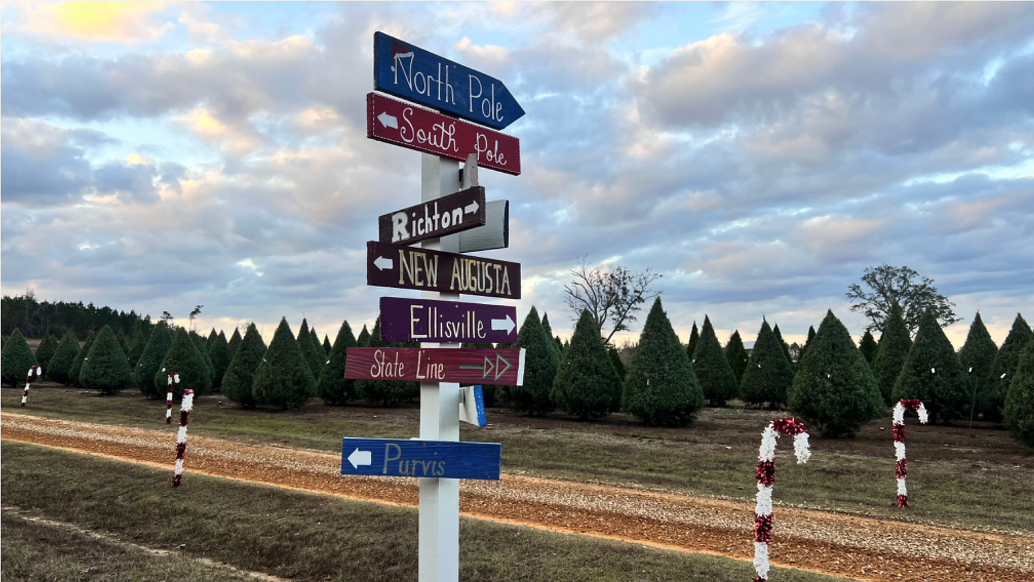 Richton Christmas tree farm grows community roots, traditions