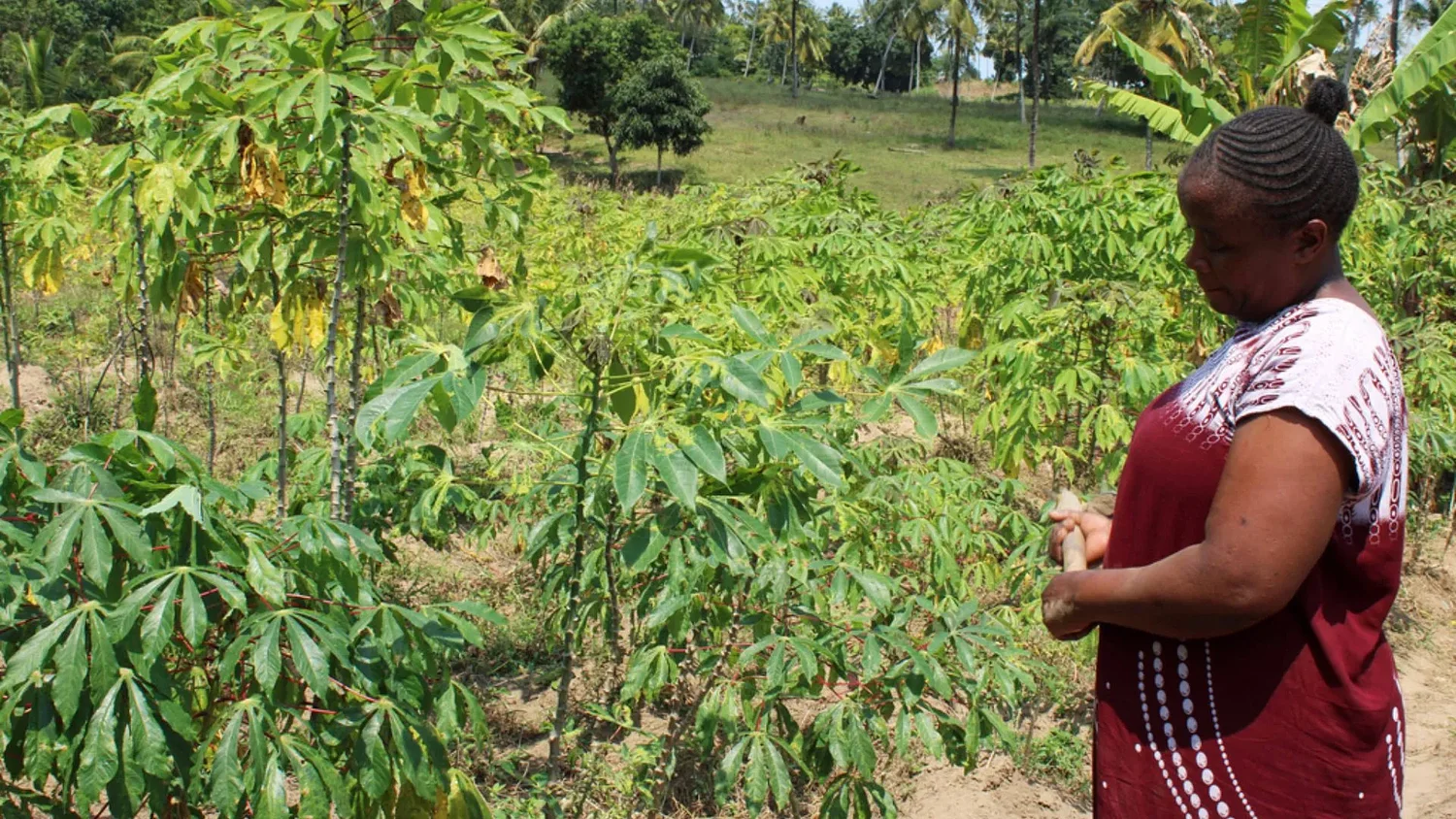 In Kenya, a search for links between a changing climate and mental health