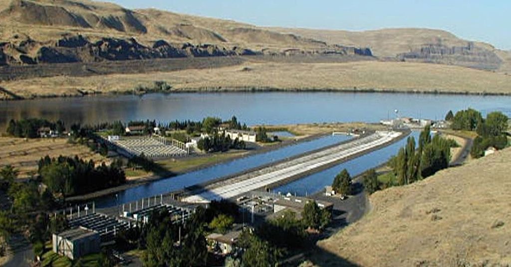 250,000 juvenile steelhead gone after hatchery failure