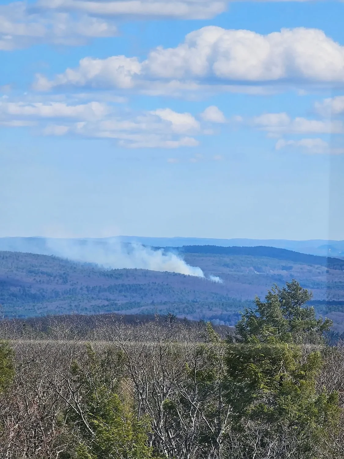 Brush fire in Pelham burns 11 acres near Mount Orient