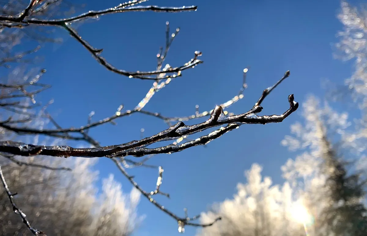 Fair weather expected across Maine for Martin Luther King Day