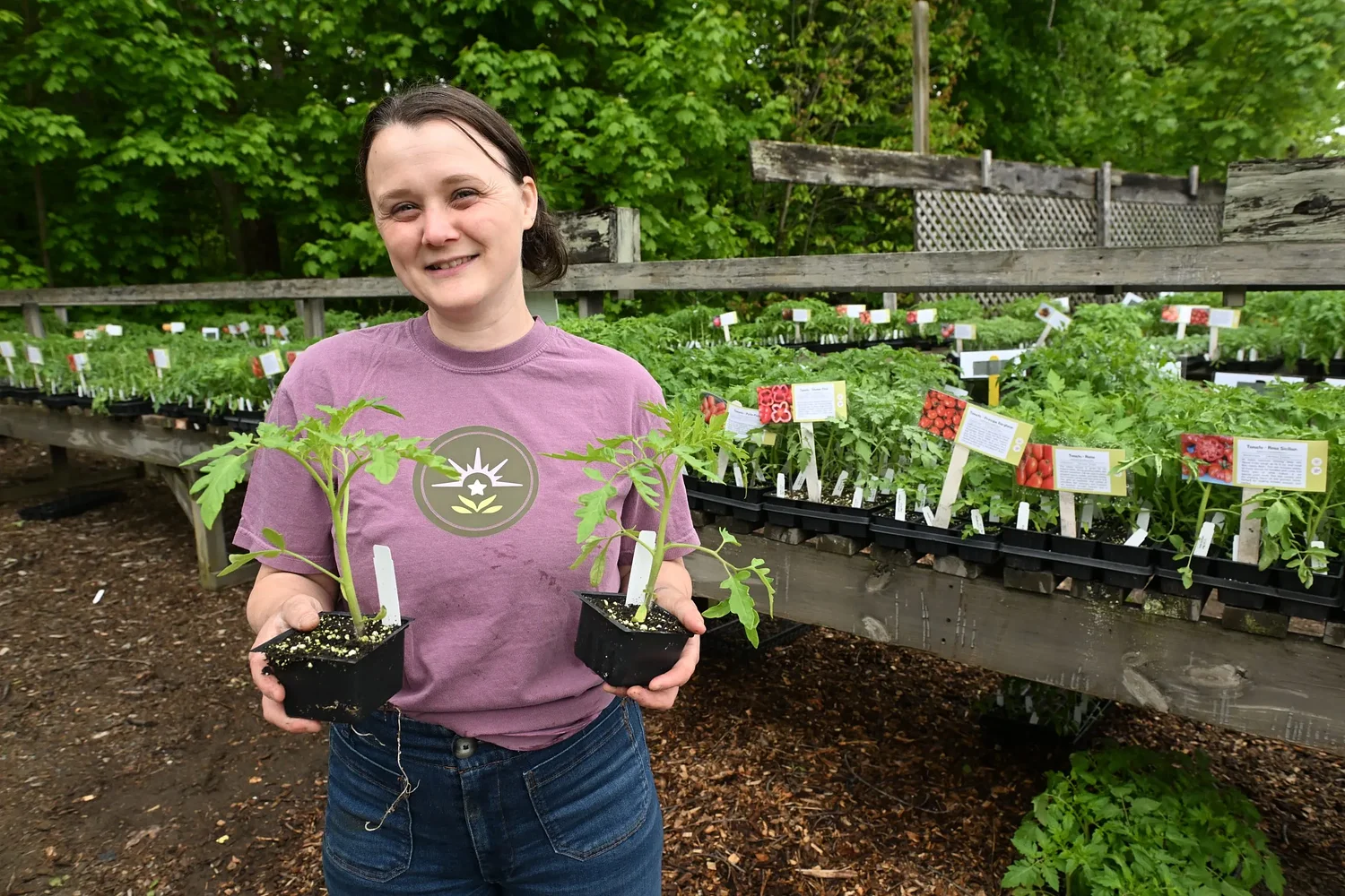 Valley Bounty: Preserving a family legacy: Sunderland’s historic Laurenitis Farm rebrands as Starview Gardens under fifth-generation ownership