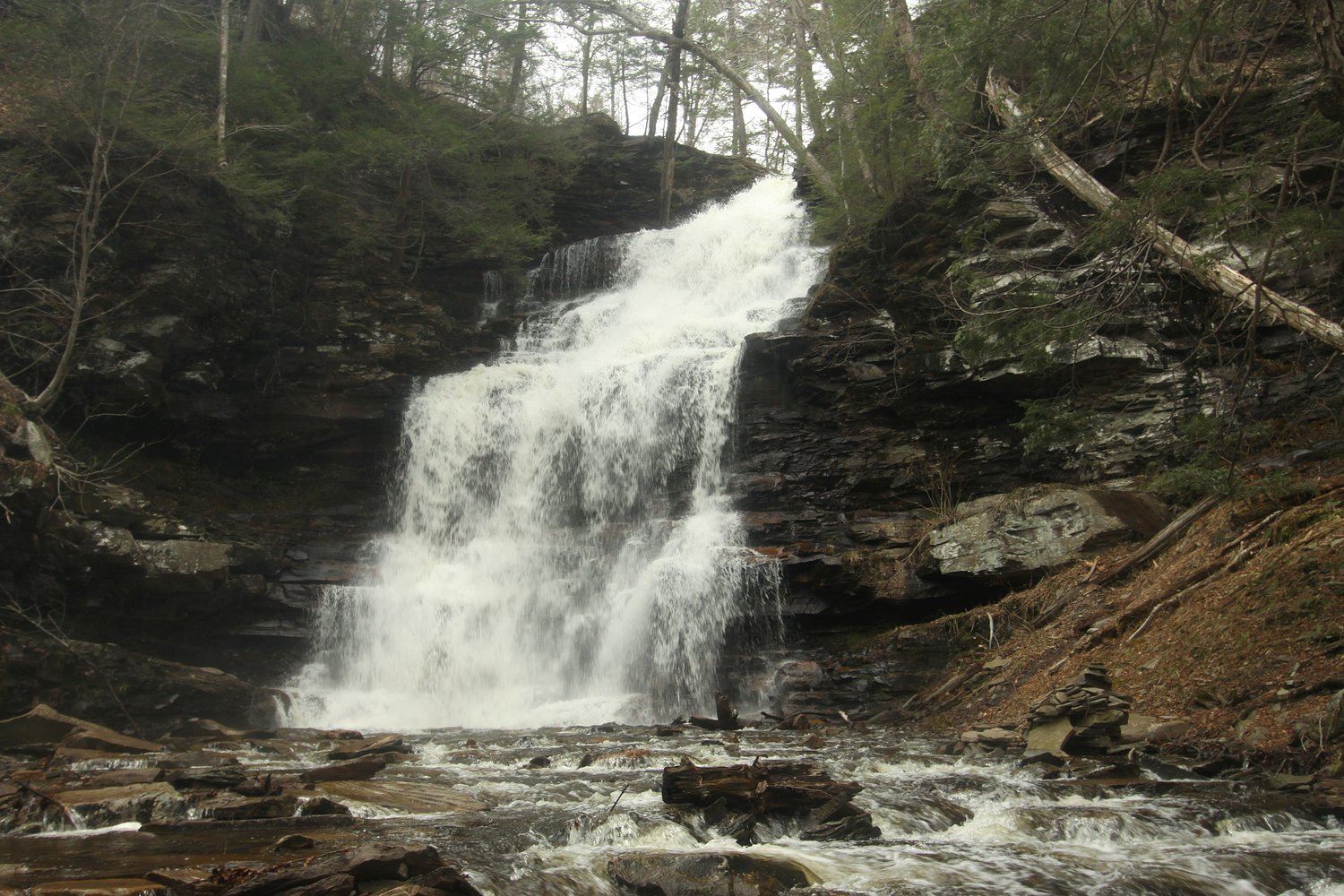 Coroner IDs man, 75, who died in fall at Pa. state park
