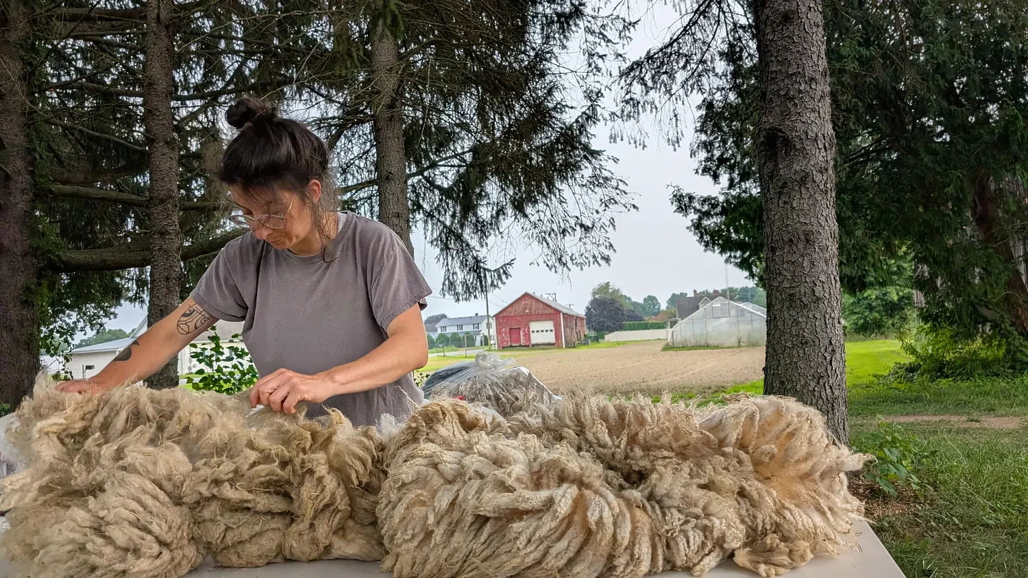 Integrated farm systems yield eye candy: Meadowfed Lamb is a source of local yarns
