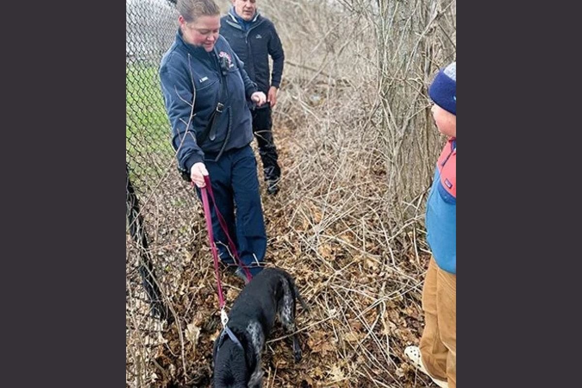 Firefighter wades into chest-deep water to save dog stuck in Bath marsh