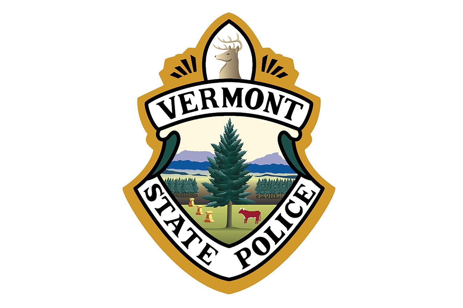 Vermont man arrested for stealing and selling Vershire road signs online