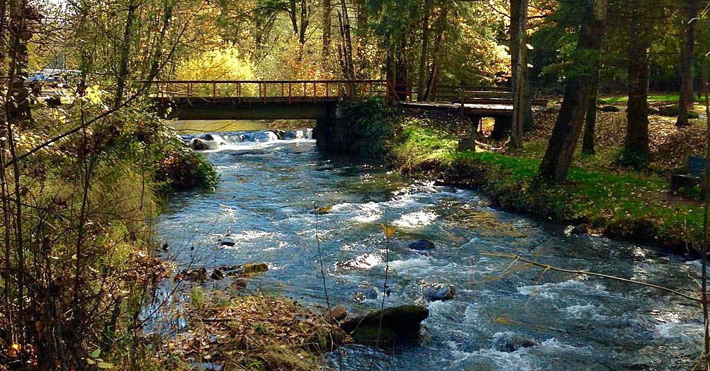 Proposal denied for dam near Oregon’s Silver Falls State Park