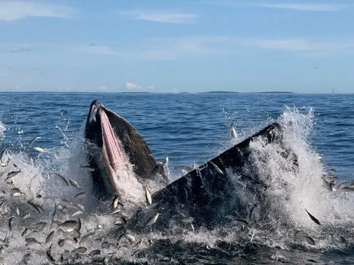 The wildlife encounter I won't forget from 2025