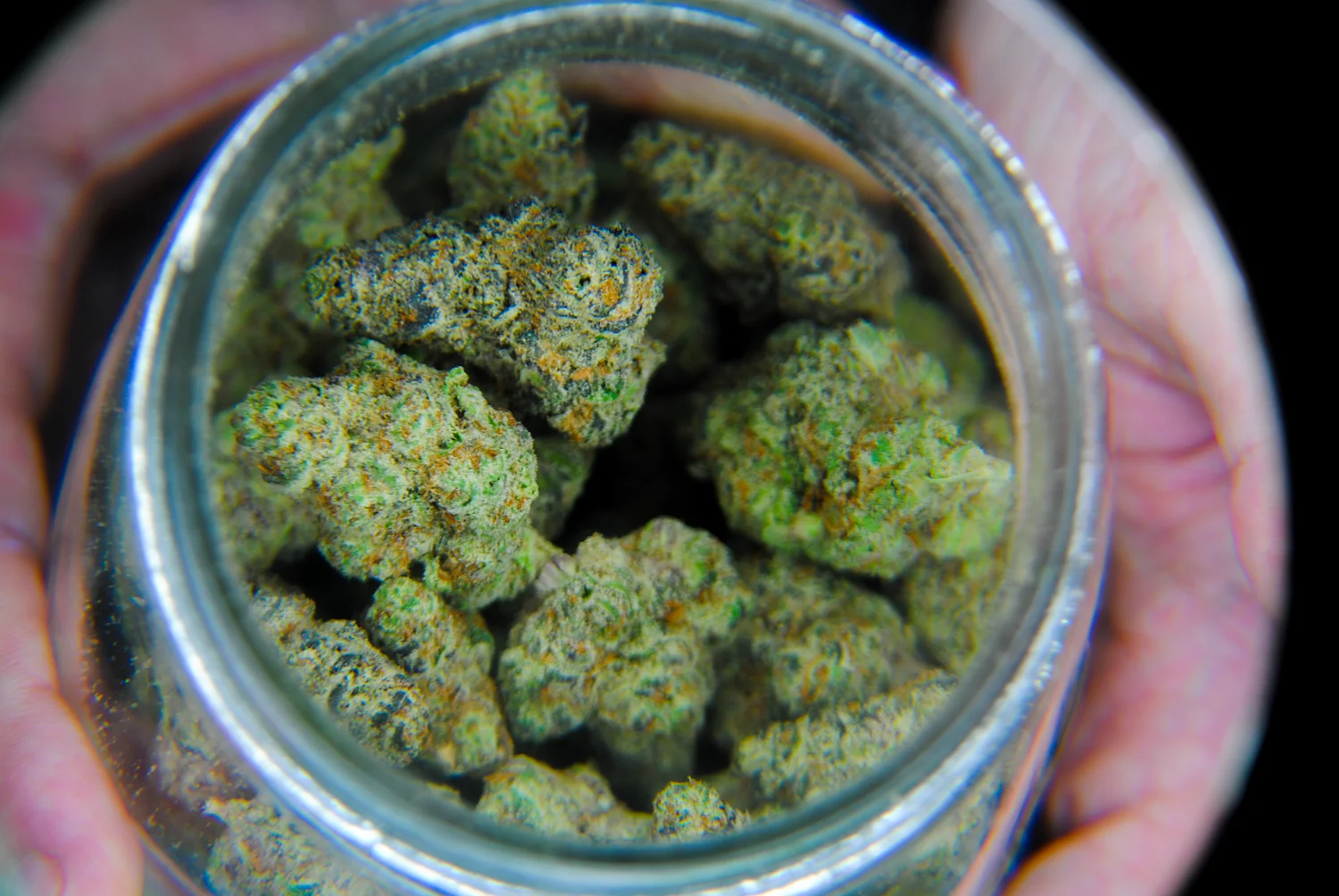 4/20 in Eugene: Inside the ‘Black Friday’ of cannabis 