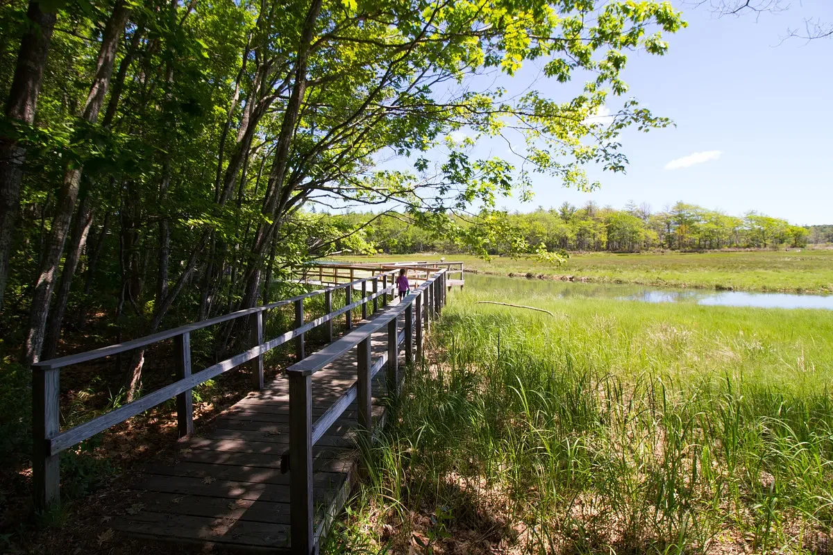 What does Trump’s review of wildlife refuges mean for Maine?