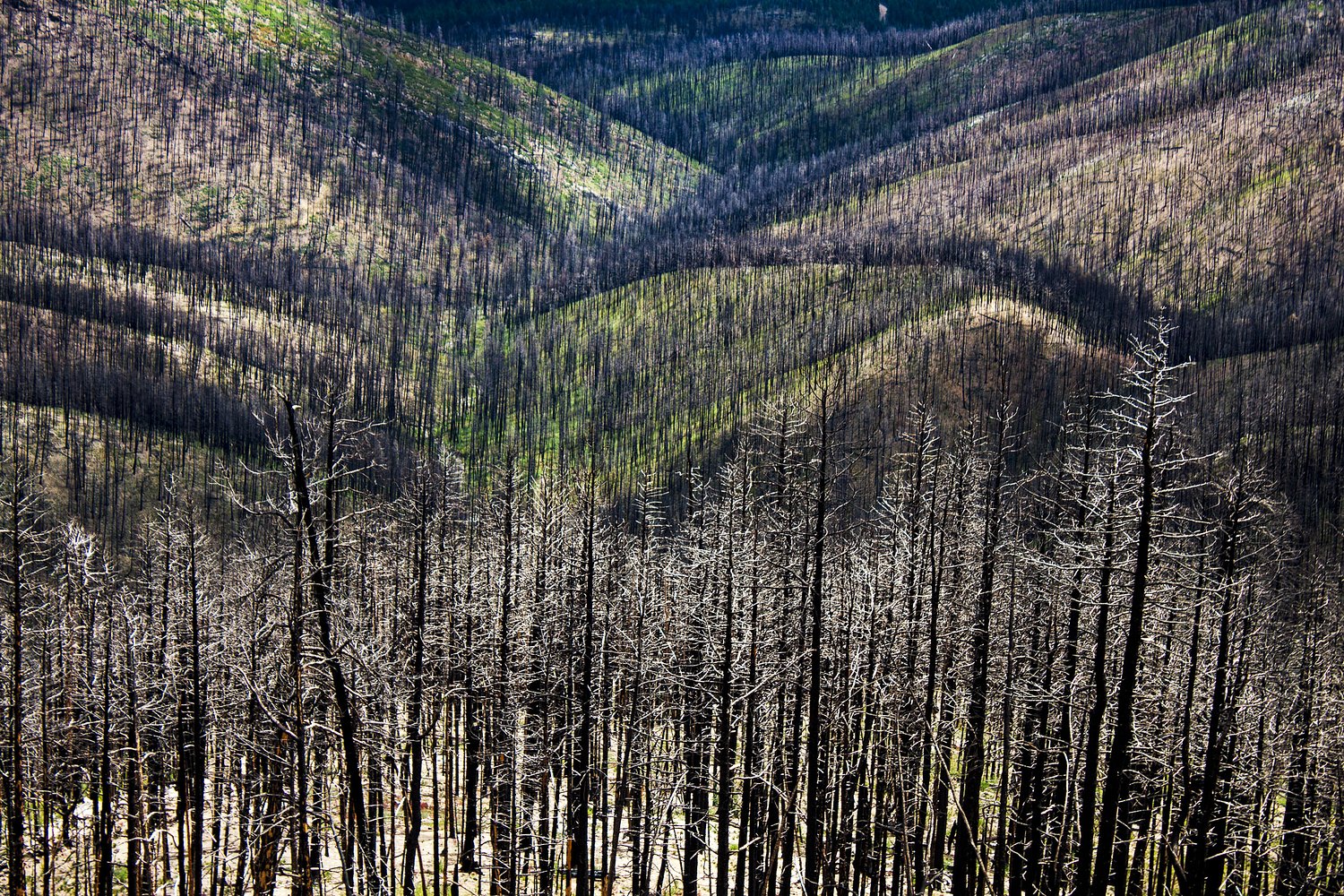 Why Wildfire Experts Are So Worried About This Year’s Fire Season