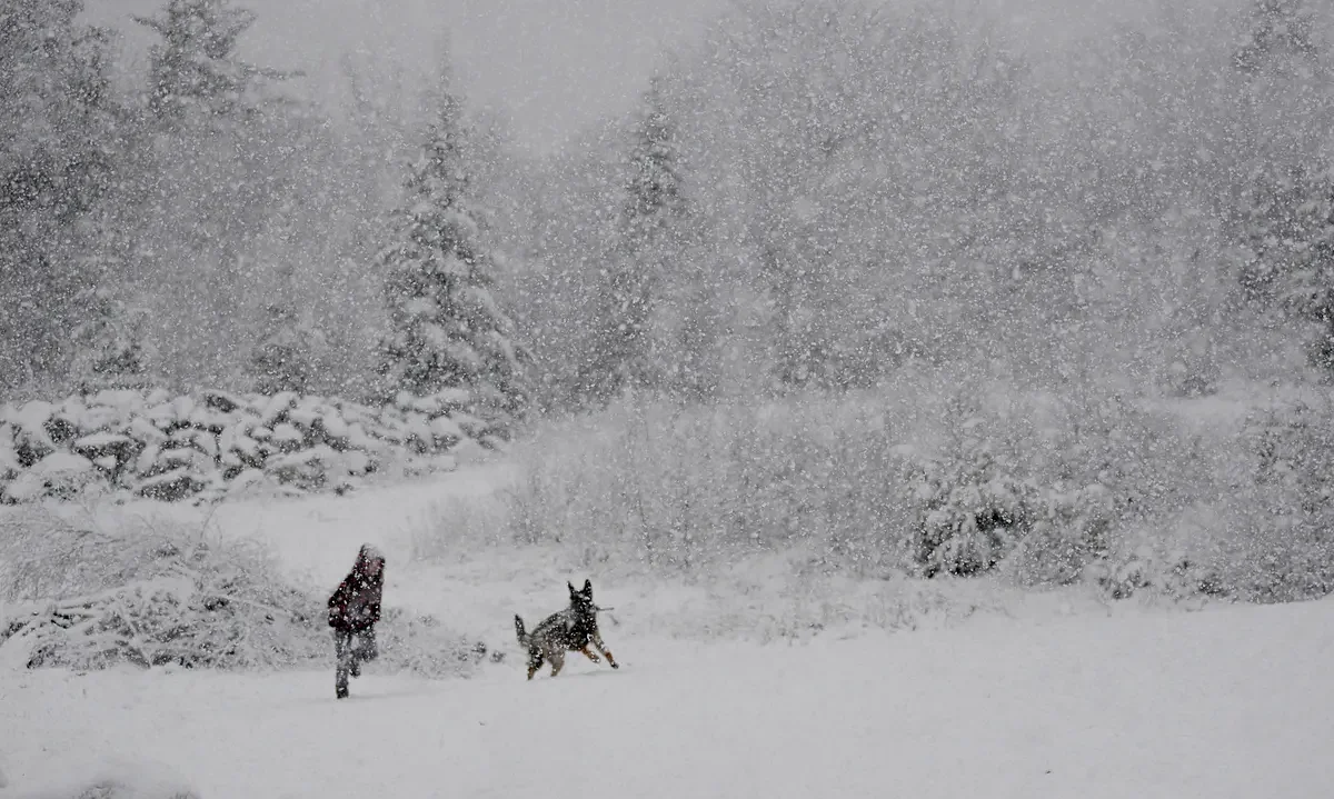 Storm could drop up to an inch of snow an hour over parts of Maine