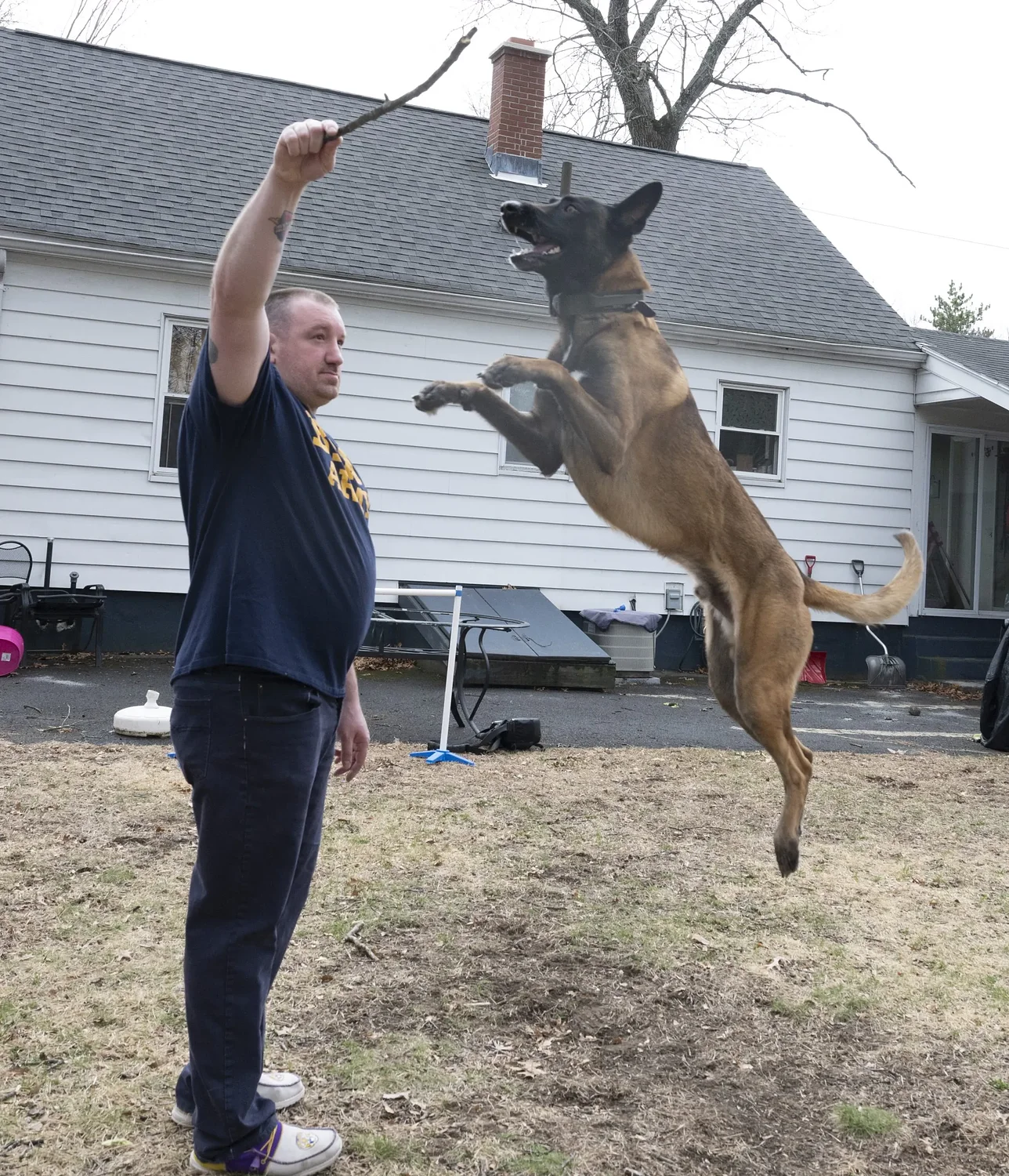Chance Encounters with Bob Flaherty: A dog with a purpose and some serious weight to be moved