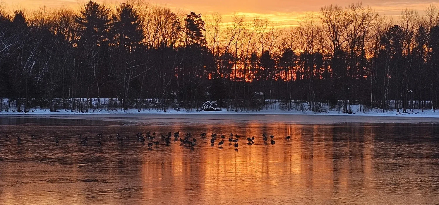 Nature Photo Contest