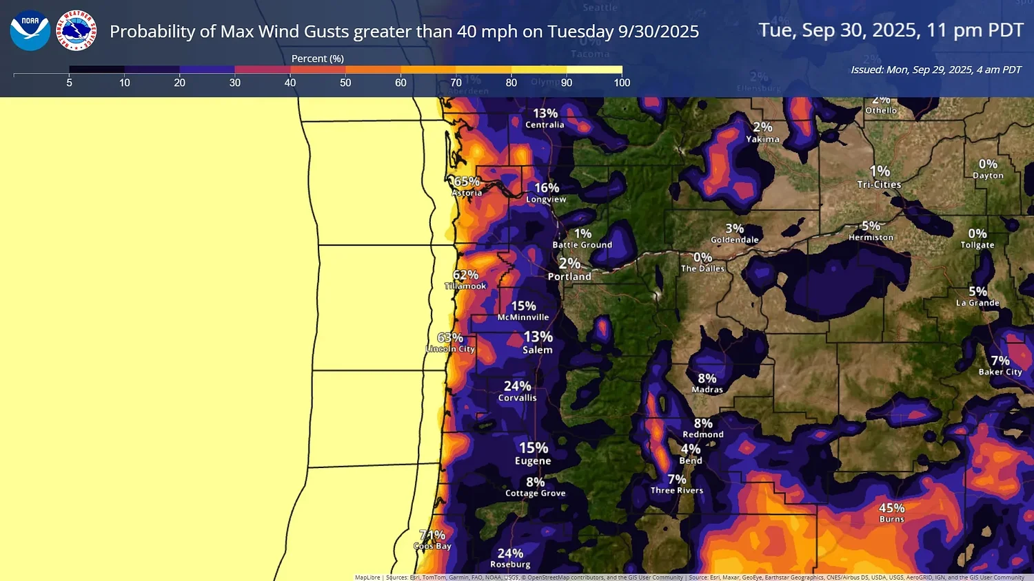 Gale-force gusts, hazardous seas forecast for the coast 