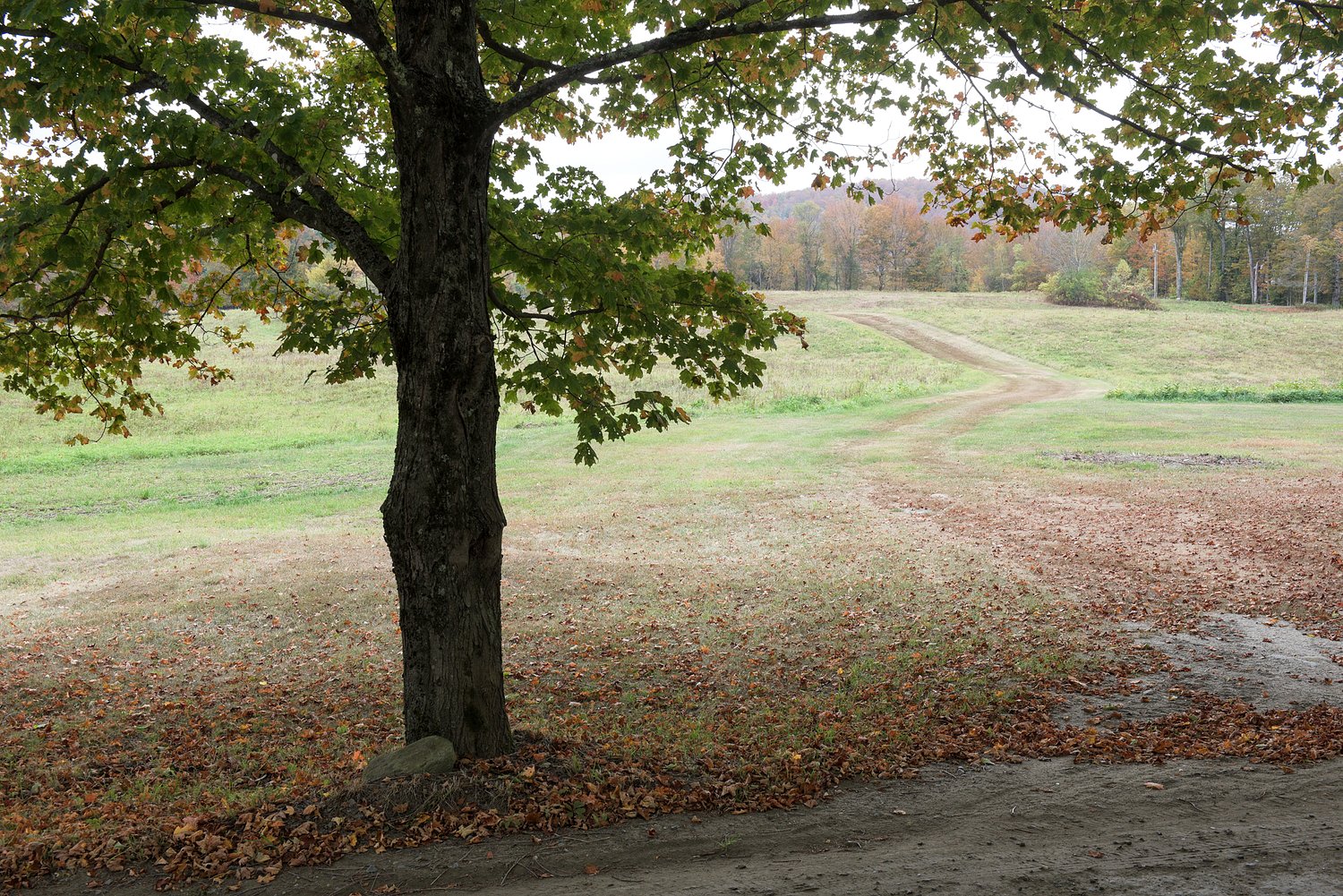 East Bethel couple to host rallycross event