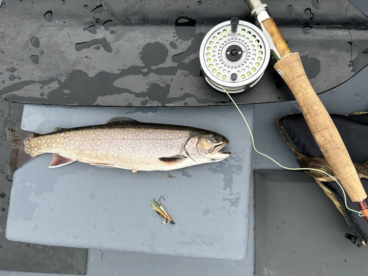 These flies outfish traditional streamers every spring  