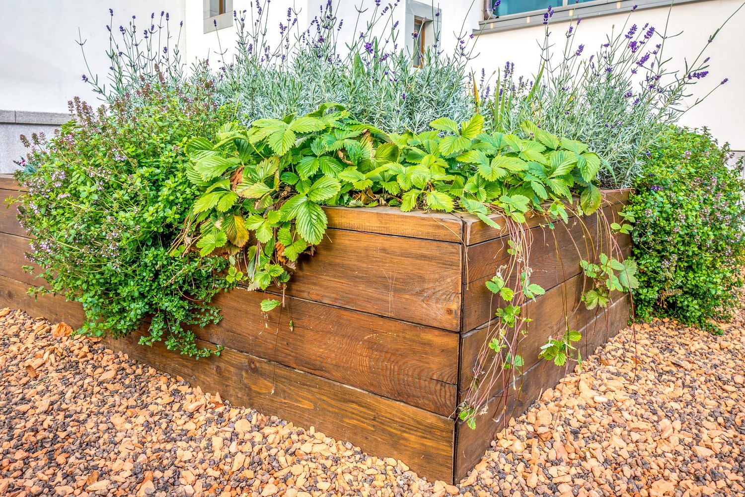 Alternative gardens