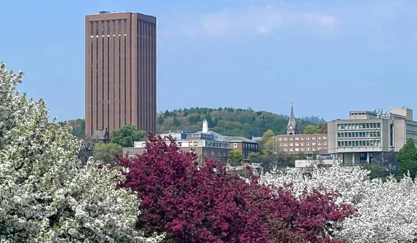 Trump ends energy grants for UMass, local companies