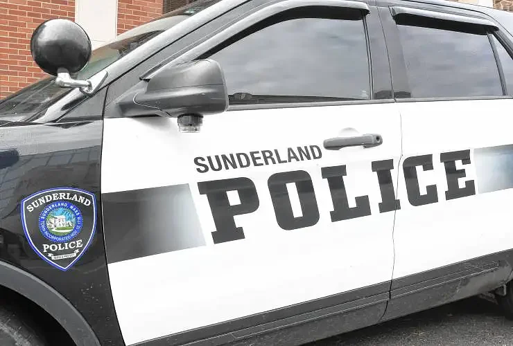 Head-on collision in Sunderland injures 11, kills cow