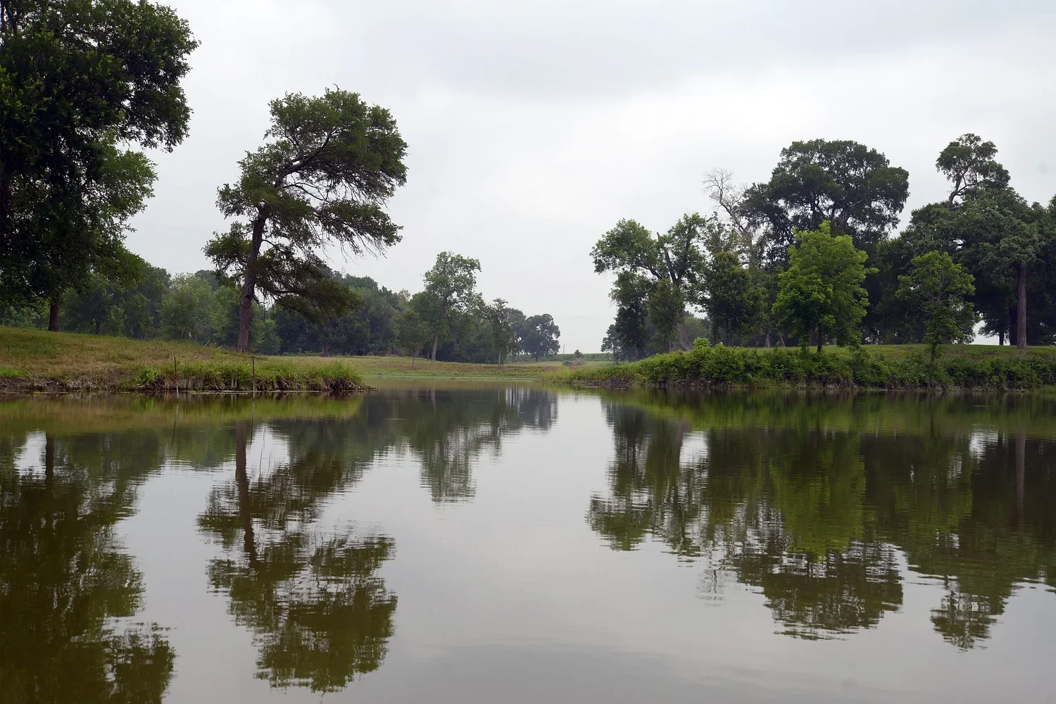 Dallas businessman sues over stalled plans to export East Texas water