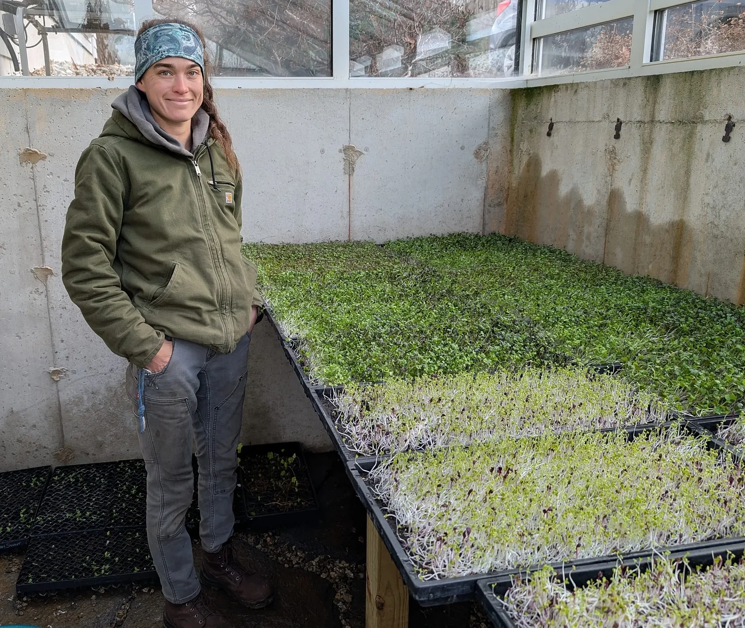 Greenhouses and crop rotation: Shaping summer's harvest in winter