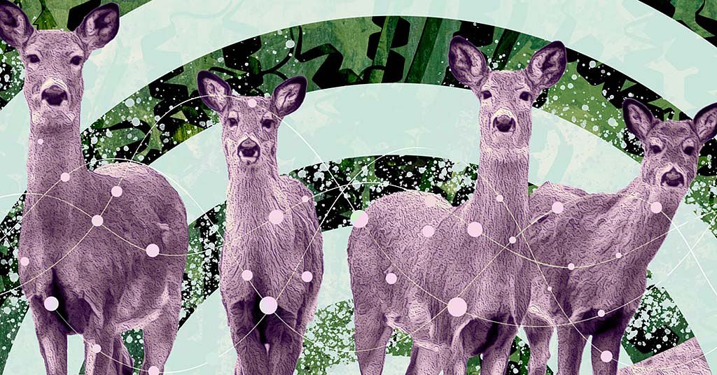 Illness fatal to big game animals hits Washington, edges closer to Oregon