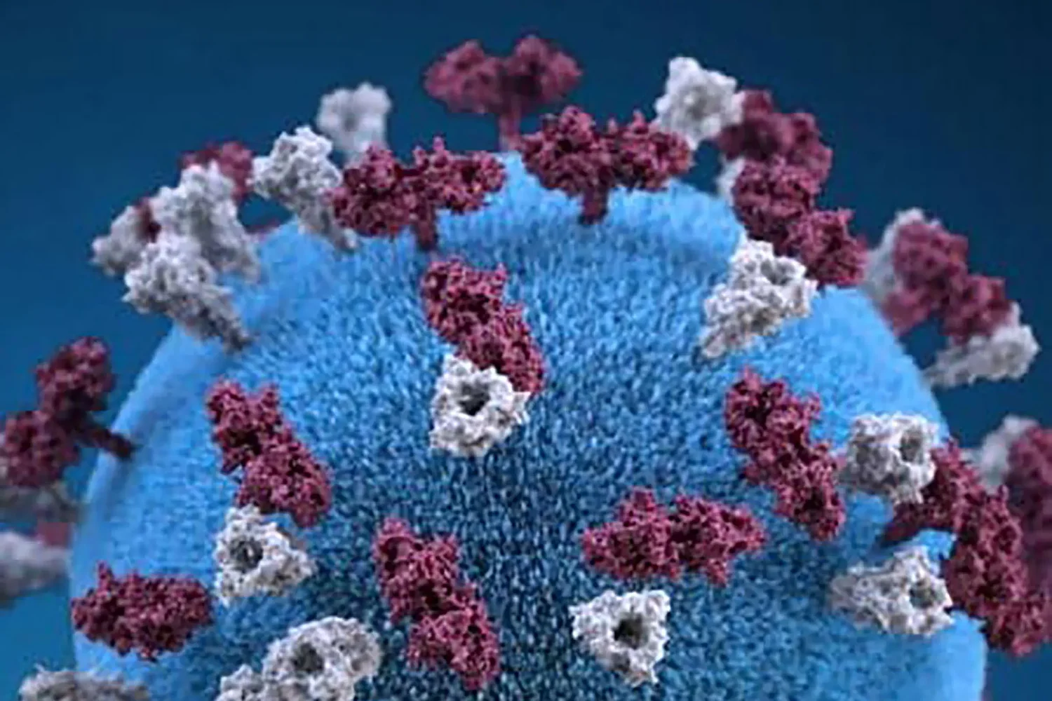 Measles detected in Vermont wastewater 
