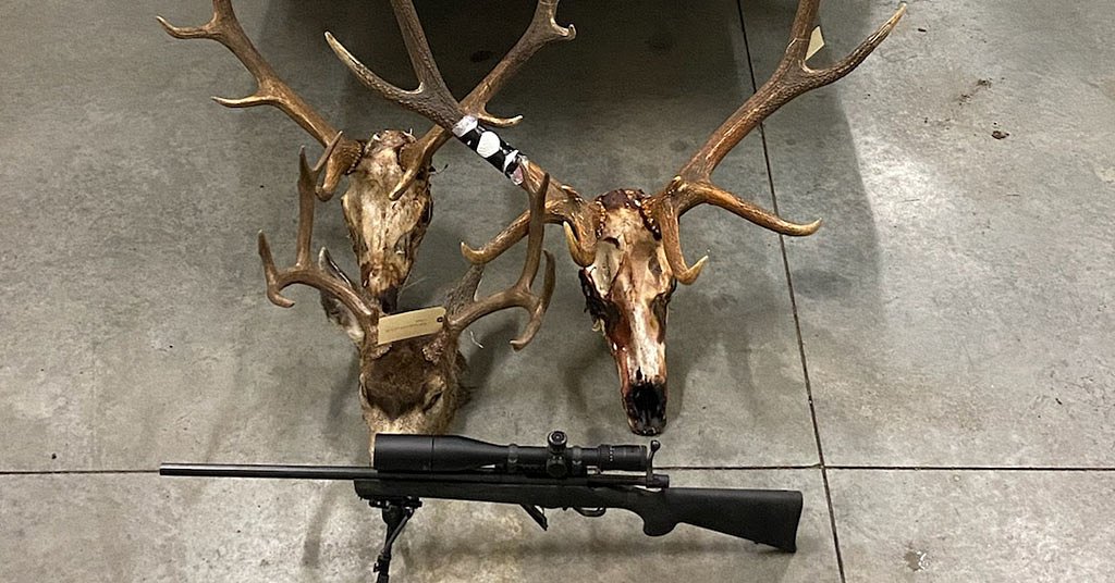 Wildlife poaching update: Bite follows bark