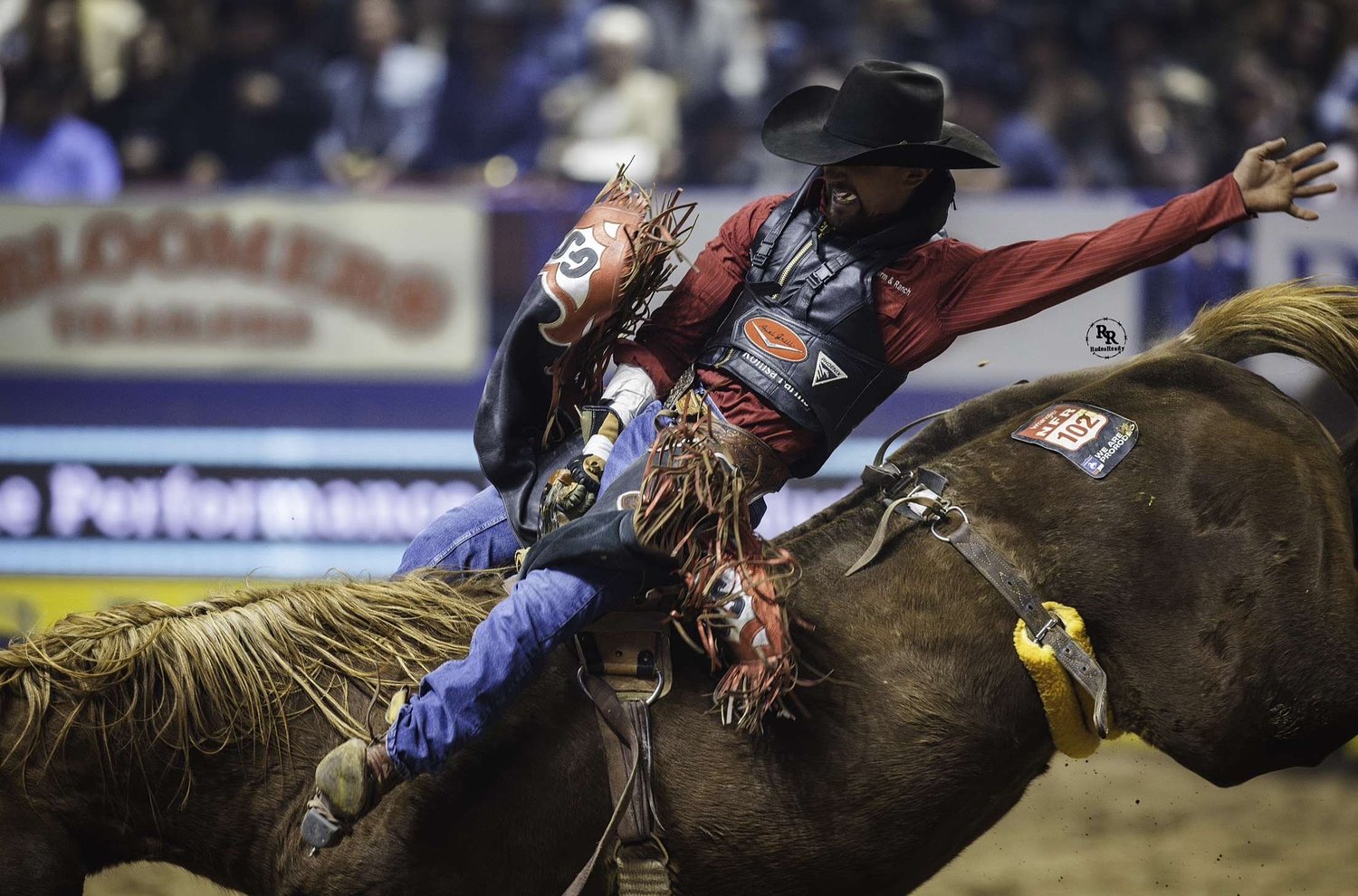 Amid rodeo's rising popularity, one Nebraskan is riding toward the top of the sport