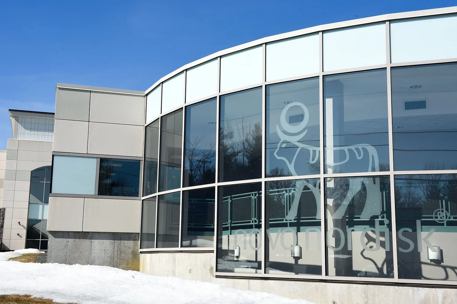 Biotech giant Novo Nordisk to cut 9,000 jobs globally, West Lebanon impact uncertain