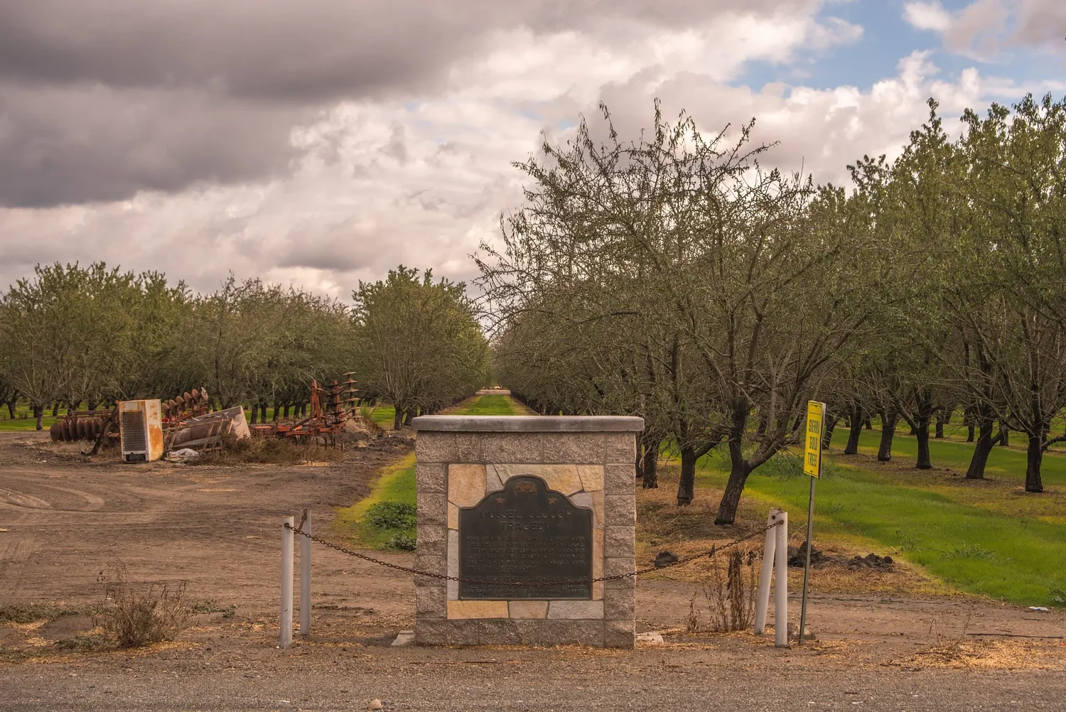 The Massacre That Made Modern California